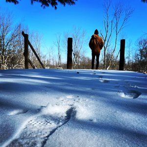 Meet your Posher, Austin